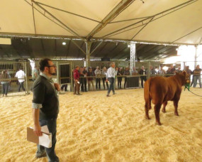 Presidente da SOMEVESC visita AgroPonte 2018