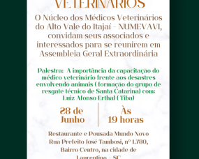 Assembléia geral Extraordinária - NUMEVAVI Assembléia geral Extraordinária - NUMEVAVI